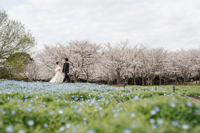 【4月限定価格】Photo&movie plan｜ドレス1点｜ロケーション1~2ヵ所