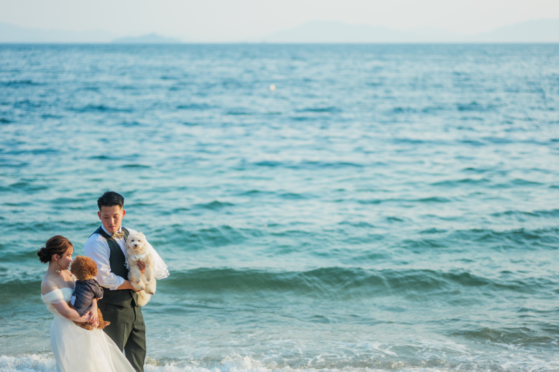 【結】ペットと撮影plan｜和装1点ドレス1点｜神社+ロケ2ヵ所｜ オープニングムービー撮影付き★