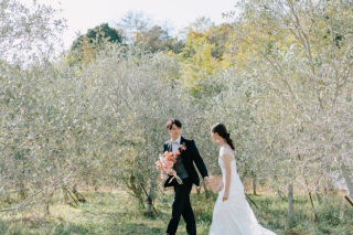 夫婦の樹といわれるオリーブの森。優しいグリーンと海に包まれる穏やかなロケーション撮影を♩