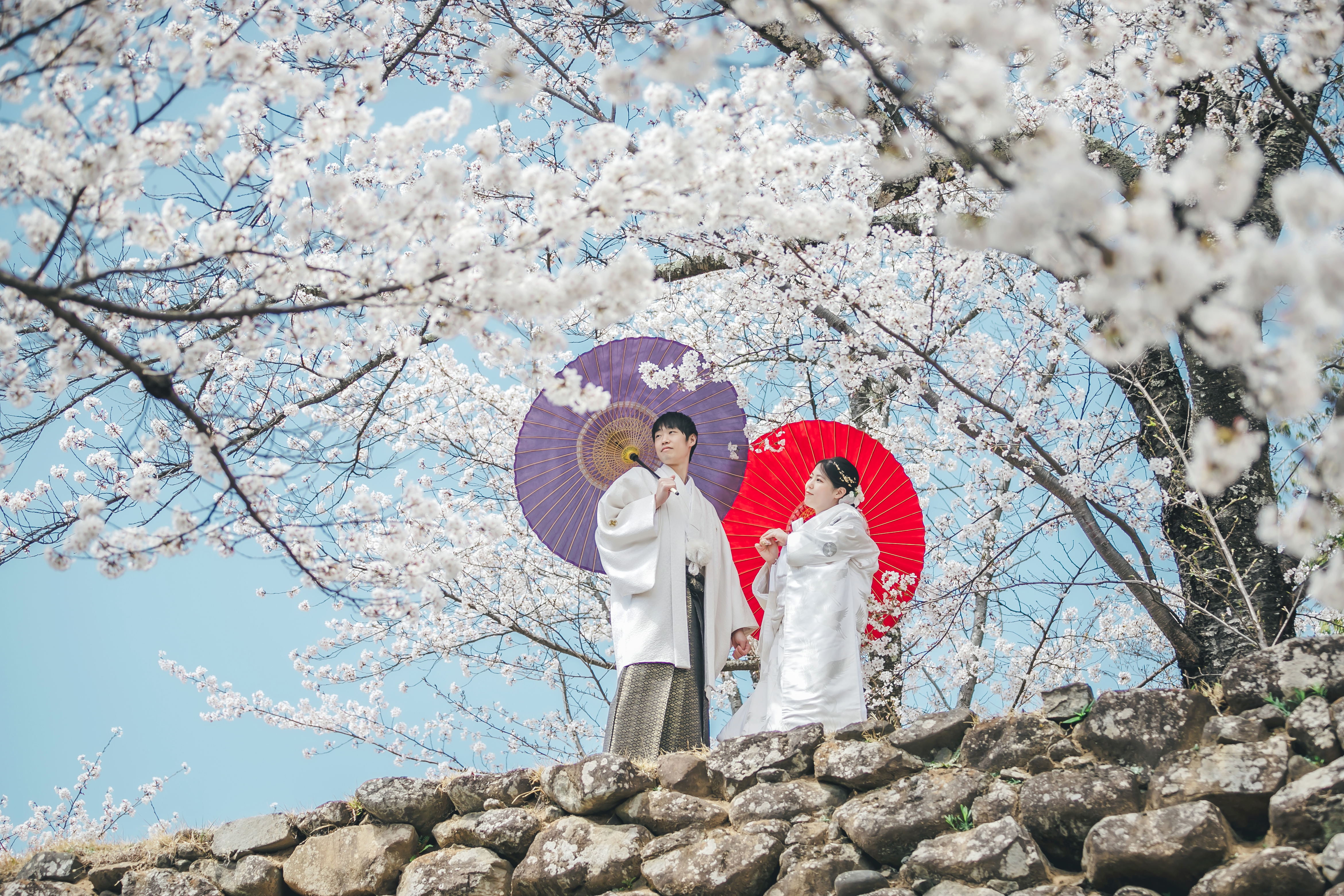 Point1 多彩な撮影シーン