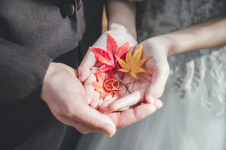 写真ミヤガワ Photo Studio WeddinGraphy 軽井沢_秋ロケーション