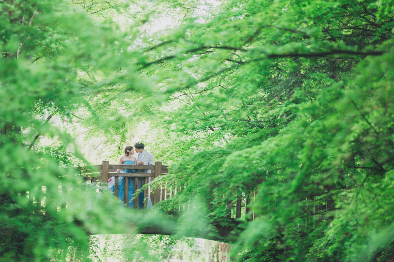 中嶋公園内はどこに立ってもフォトスポット