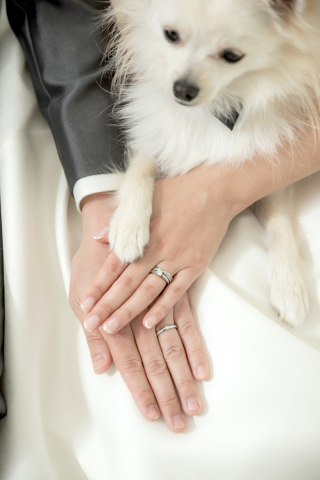 写真ミヤガワ Photo Studio Weddingraphy 軽井沢_館内撮影