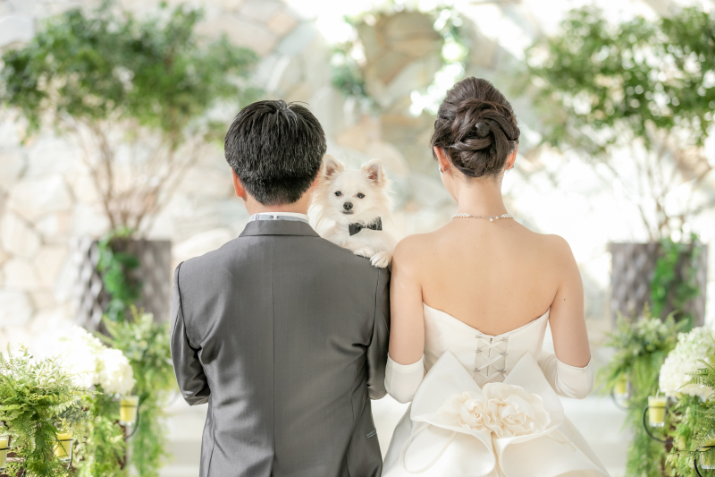 ☆まだ間に合う☆春のフォトウェディング　4月平日撮影限定洋装1着館内撮影プラン！