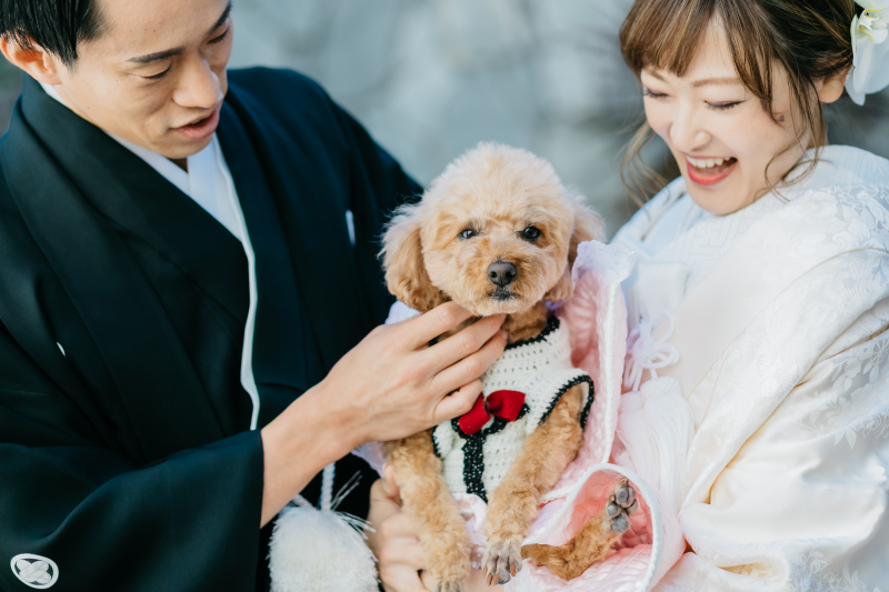 愛犬と