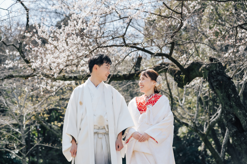 桜の木の下で