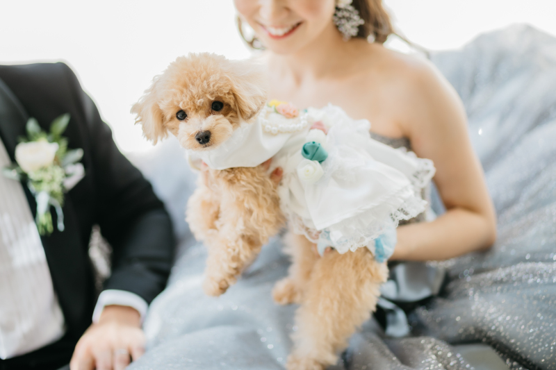 エール・フォルトゥーナ_ペットと一緒に撮影できる