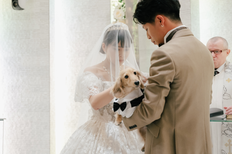 エール・フォルトゥーナ_ペットと一緒に撮影できる