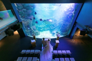 Fairy フォトウエディング_ロケーション撮影