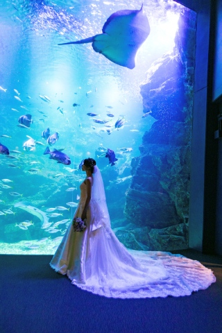 Fairy　フォトウエディング_ロケーション撮影