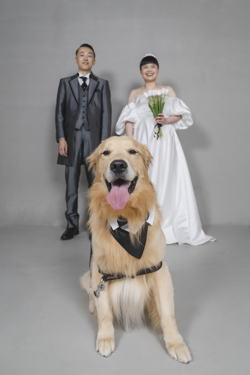 Fairy Photo Wedding_ペットと一緒に撮影できる