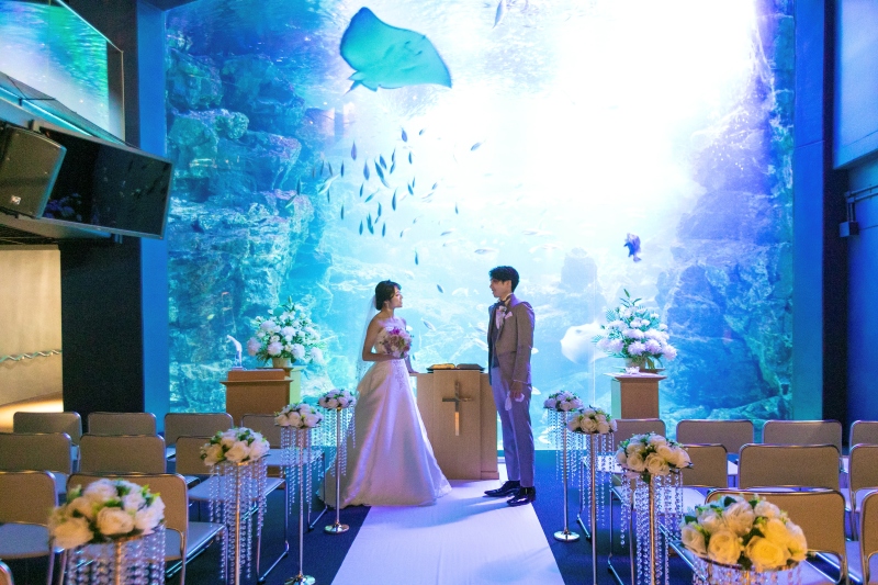 水族館も特別な舞台に