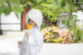 Fairy PhotoWedding_本法寺