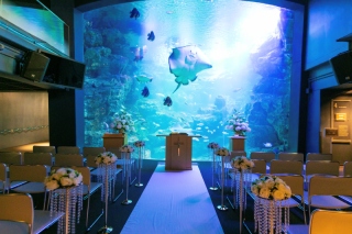 Fairy フォトウエディング_ロケーション撮影