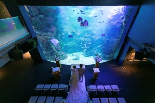 Fairy PhotoWedding_ロケーション撮影