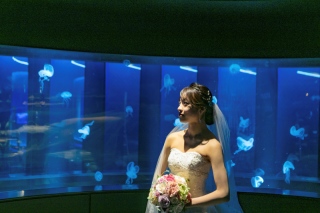 Fairy フォトウエディング_ロケーション撮影