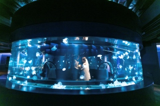 Fairy　フォトウエディング_ロケーション撮影