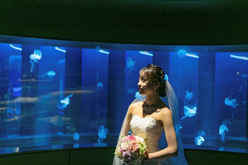 【2026年４月グランドオープン】【50％OFF】モニター募集　Fairyフォト　洋装２点　ロケーション＆スタジオ