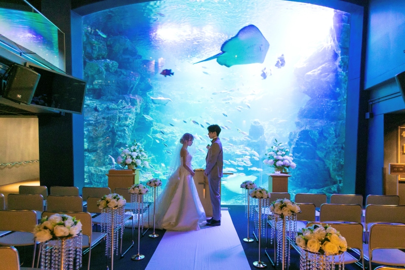 【2026年４月グランドオープン】【50％OFF】モニター募集　Fairyフォト　洋装２点　ロケーション＆スタジオ