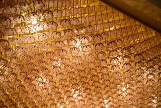 QUON～和創wedding～_ロケ 湯島天神