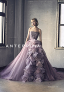 アイリーナ ANT0254_rose