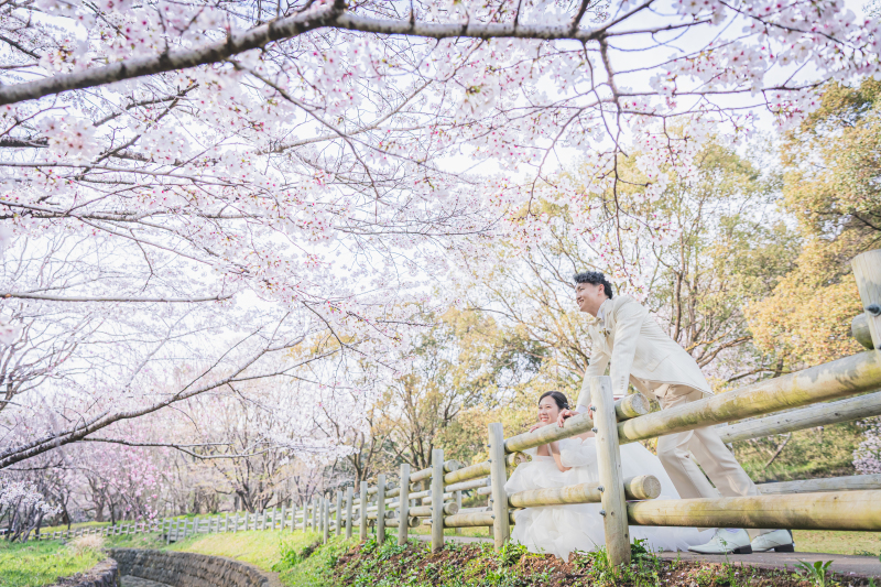 桜を眺めるお二人