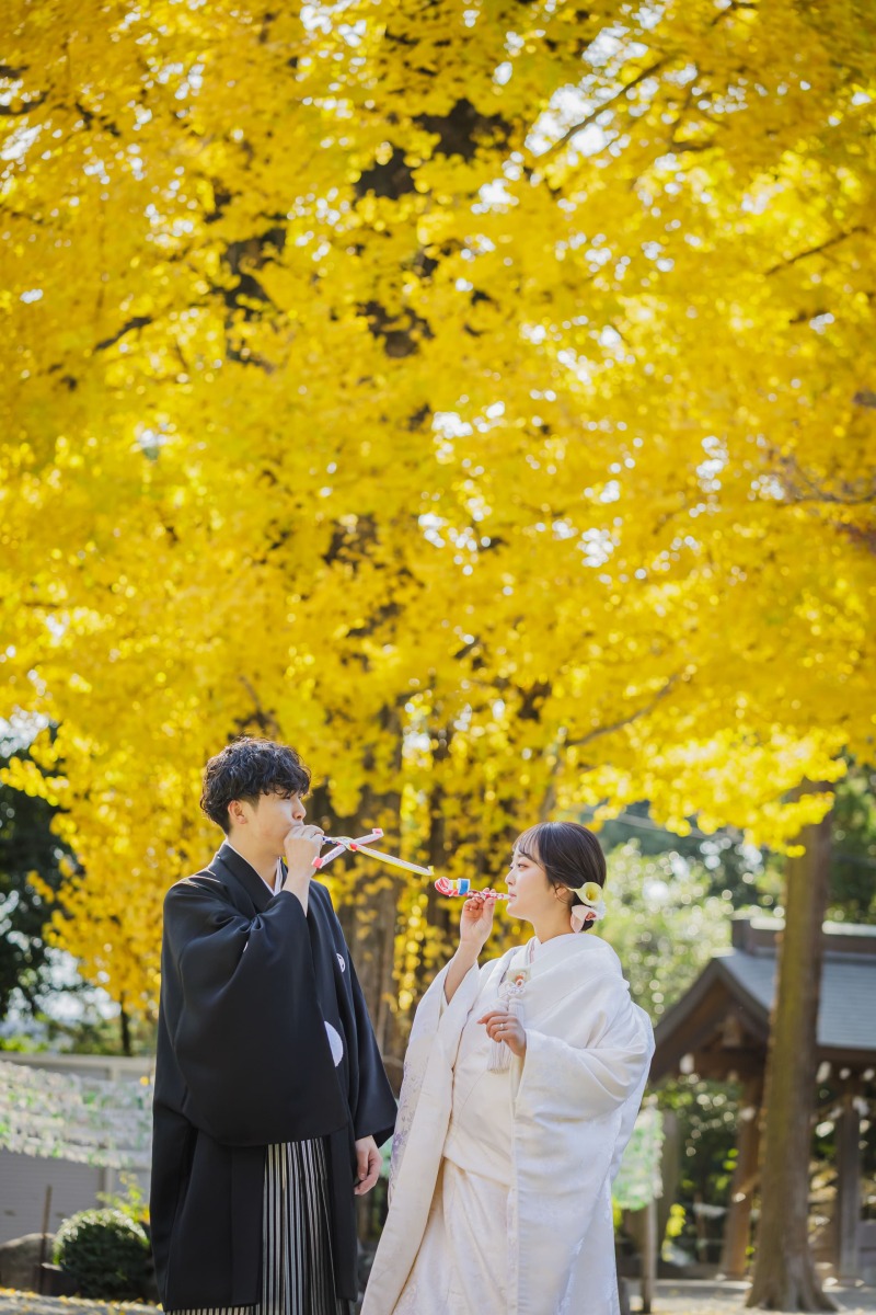 【秋限定】色づく紅葉と黄金色のイチョウ|和装+ドレス贅沢ロケーションプラン