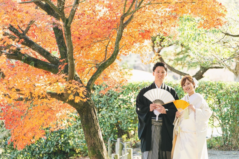 【秋限定】色づく紅葉と黄金色のイチョウ|和装+ドレス贅沢ロケーションプラン