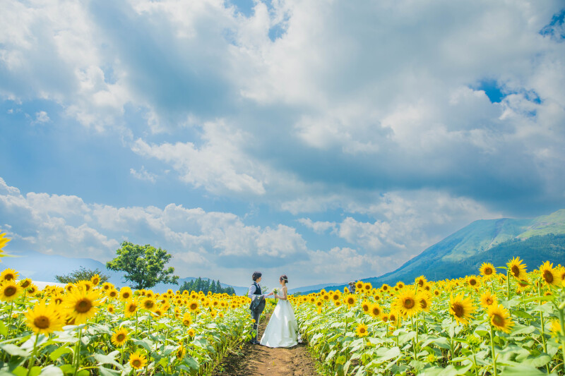 【 HIMAWARI Photo wedding 】7/26. 7/27の2日間 1日1組限定