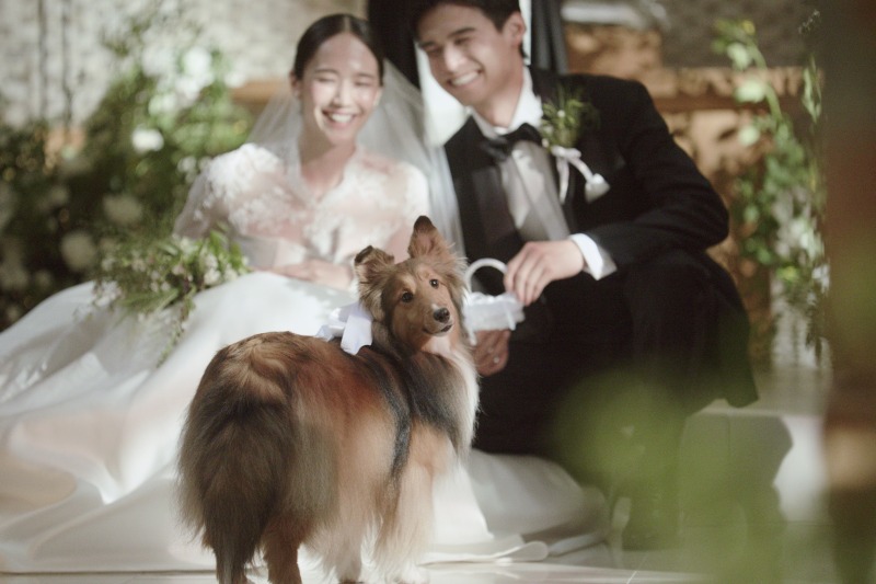 ONE PHOTO WEDDING 目白の森