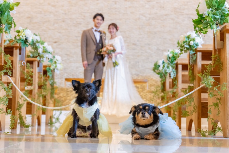 ONE PHOTO WEDDING 目白の森_ペットと一緒に撮影できる
