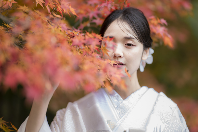 秋限定【和装】本格的な庭園で色鮮やかな紅葉に包まれて撮影する目白庭園コース