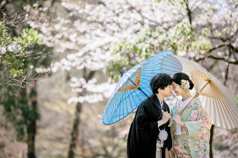 春限定【和装】本格的な庭園で桜と撮影する目白庭園コース