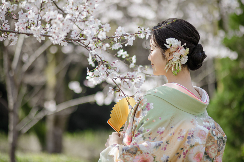 春限定【和装】本格的な庭園で桜と撮影する目白庭園コース
